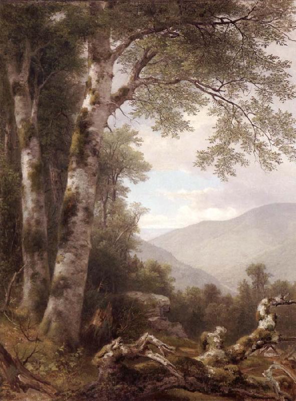 Asher Brown Durand Landscape with Birches Spain oil painting art